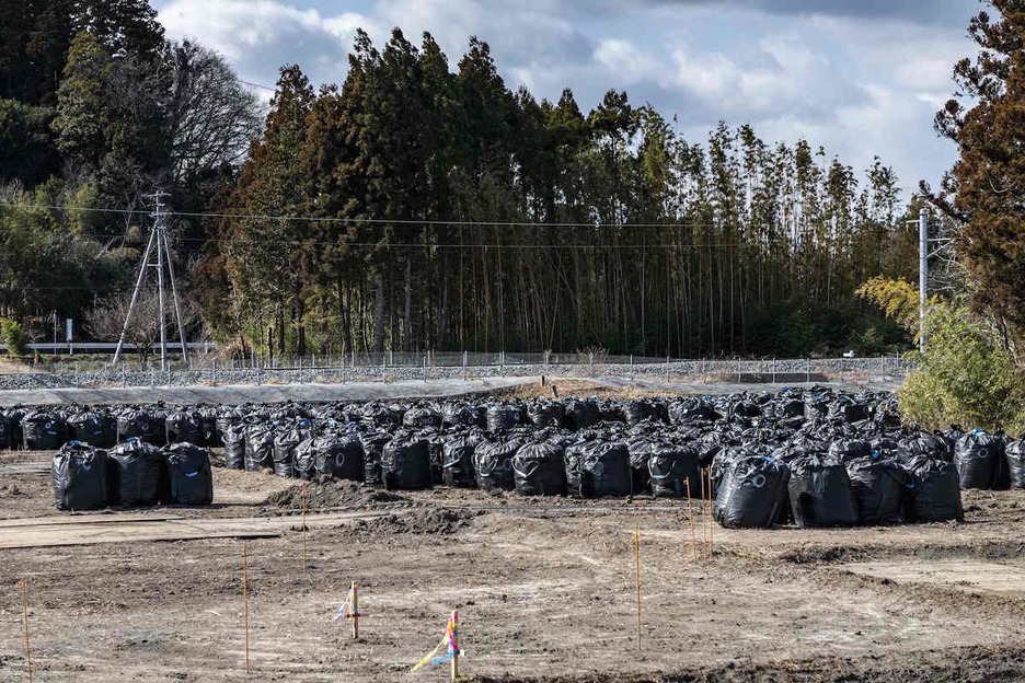 Bolsas con tierra contaminada por la radiación. (PHILIP FONG / AFP) Bolsas con tierra contaminada por la radiación. (PHILIP FONG / AFP)