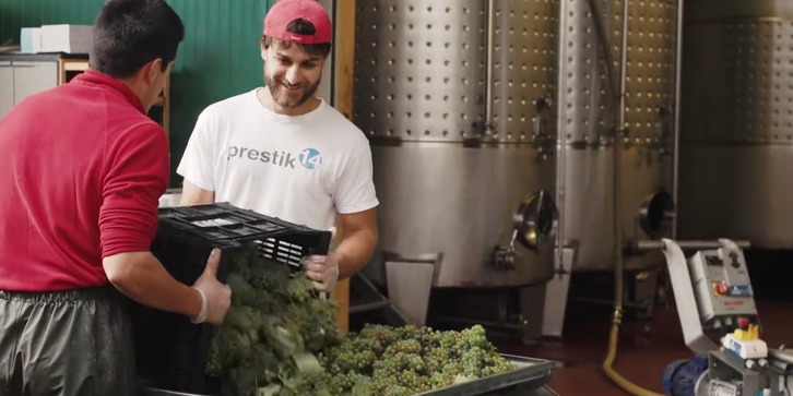 El rendimiento medio ha sido de 6.000 kilos de uva por hectárea. (bizkaikotxakolina.eus)