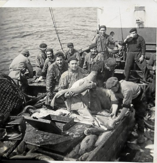 Argazkia: Joaquín Solbes Uranga