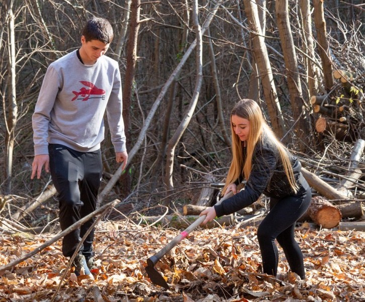 50 eskolatik gorak parte hartu dute “Basoak ernatzen” proiektuan