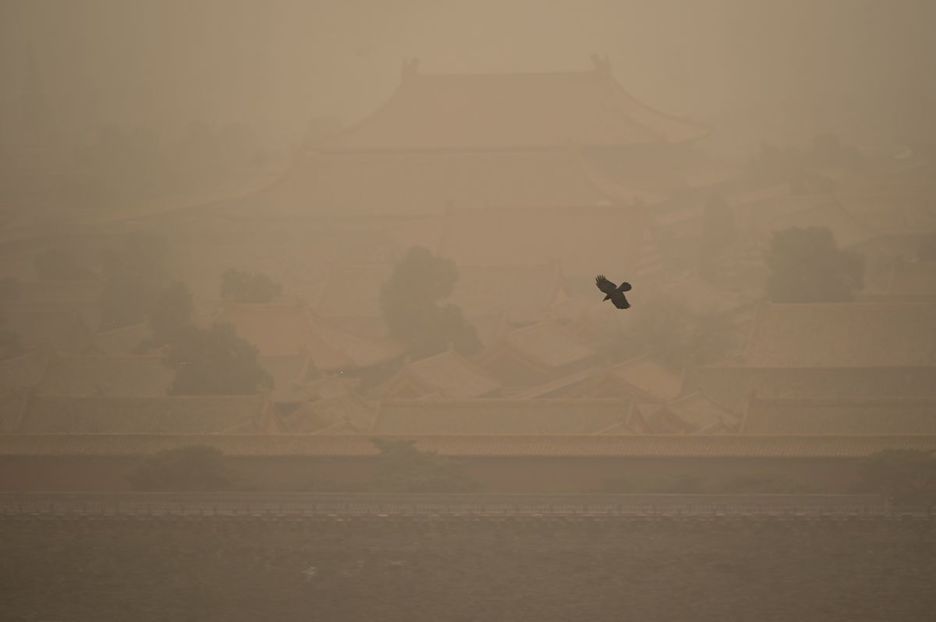 Un cuervo sobrevuela la Ciudad Prohibida durante la tormenta de arena. (Wang ZHAO/AFP)