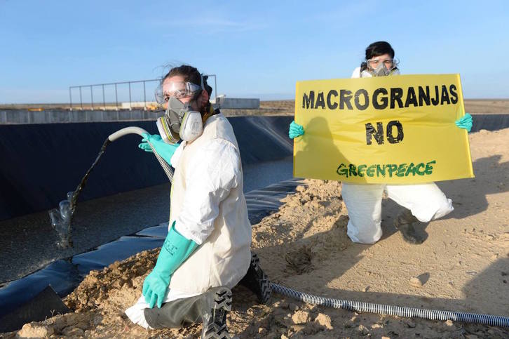 Acción de protesta de Greenpeace en la macrogranja de Caparroso. (GREENPEACE)