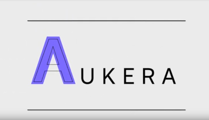 Aukera programa emakume zinemagileak babestu eta ahalduntzeko sortu da. (NAIZ)