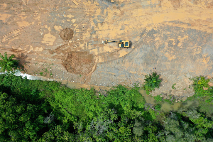 Vista aérea de una zona de Borneo destruida por la industria del aceite de palma. (RICHCAREY/GETTY IMAGES)