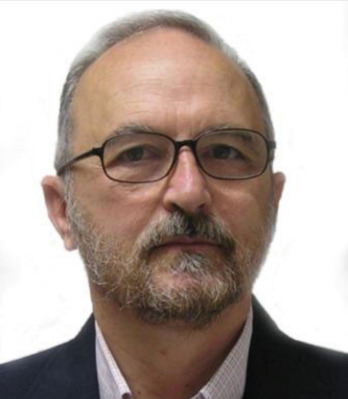 Domingo Guinea, director del Laboratorio de Energías Renovables e Hidrógeno del CSIC. (D.G.)