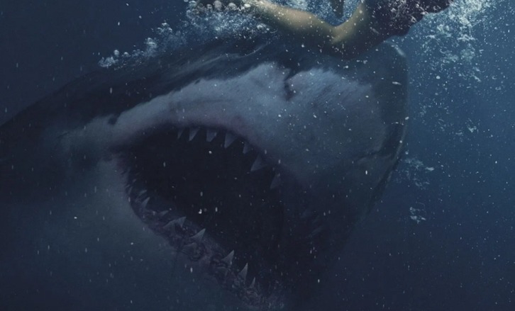 El guion de esta película sobre escualos se inspira en hechos reales. (NAIZ)