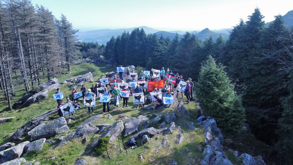 Andoaingo talde bat, Aizkorrikon. (@AndoaingoSare) Andoaingo talde bat, Aizkorrikon. (@AndoaingoSare)