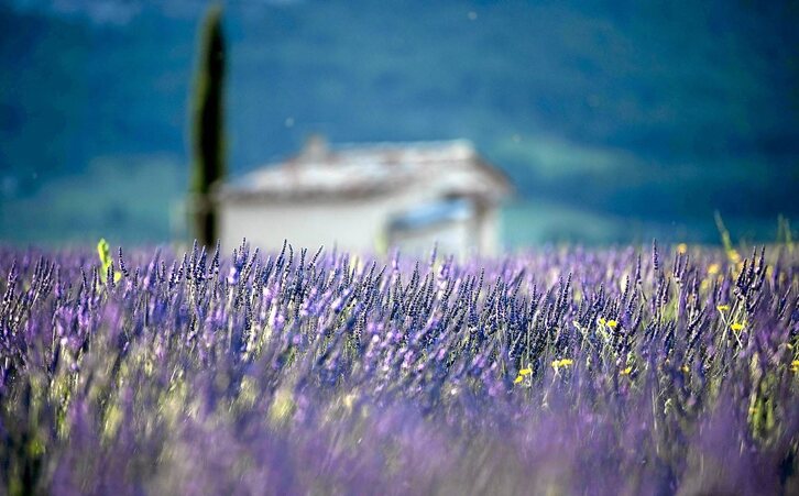 Fotografía: Christophe Simon | AFP