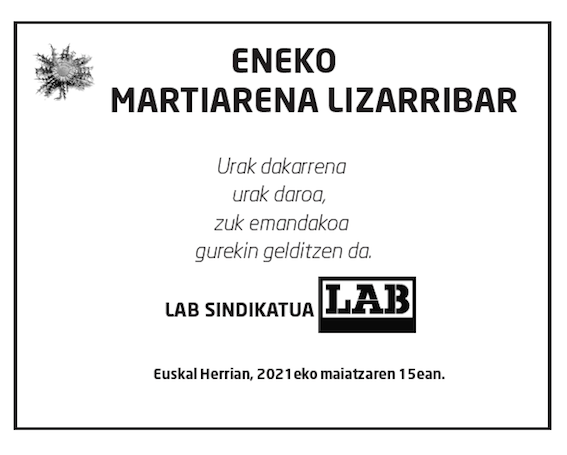 Eneko-martiarena-lizarribar-2