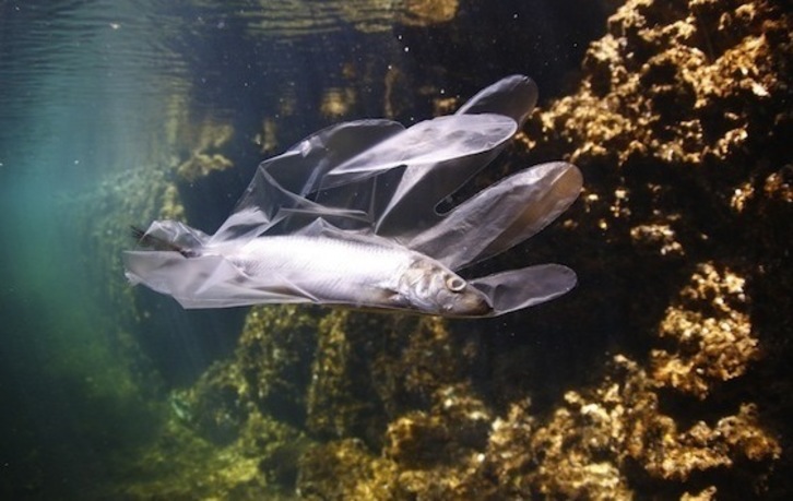 Kalkulatzen da urtean itsasoan bukatzen duela 12 milioi tona plastikok. (Ecofish)   