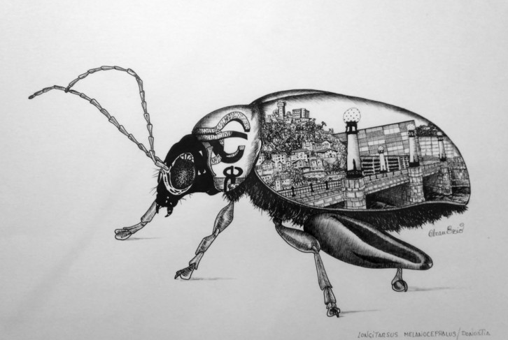 Erakusketa honen intsektu bitxietako bat.