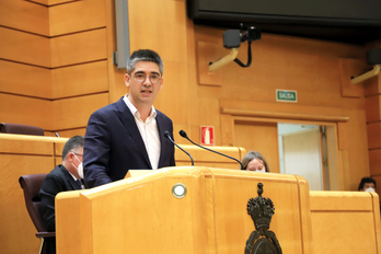 El portavoz de EH Bildu en el Senado, Gorka Elejabarrieta, durante su intervención. 