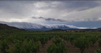 Las tormentas han provocado daños en centenares de hectáreas de la Rioja Alavesa. (RIOJA ALAVESA)