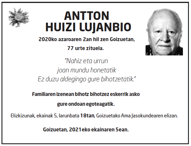 Antton_huizi