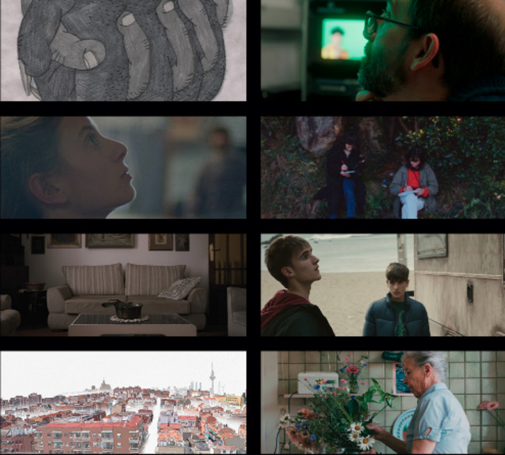 Fotogramas de los ocho títulos seleccionados. (NAIZ)