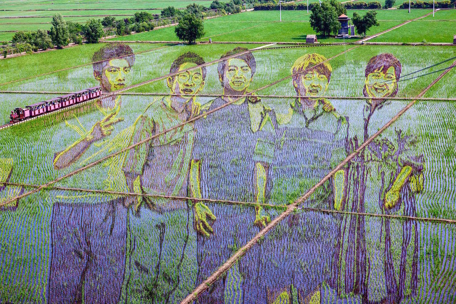 Un grupo de jóvenes, representado sobre un arrozal. (AFP)