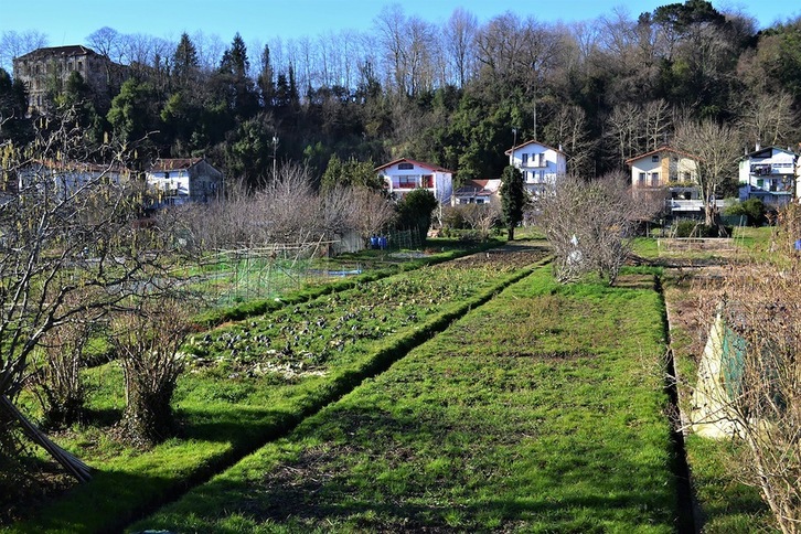 Una de las zonas del estuario del Bidasoa, en Hondarribia, en las que la marisma se convirtió en suelo agrícola. (Josu NARBARTE | UPV/EHU)