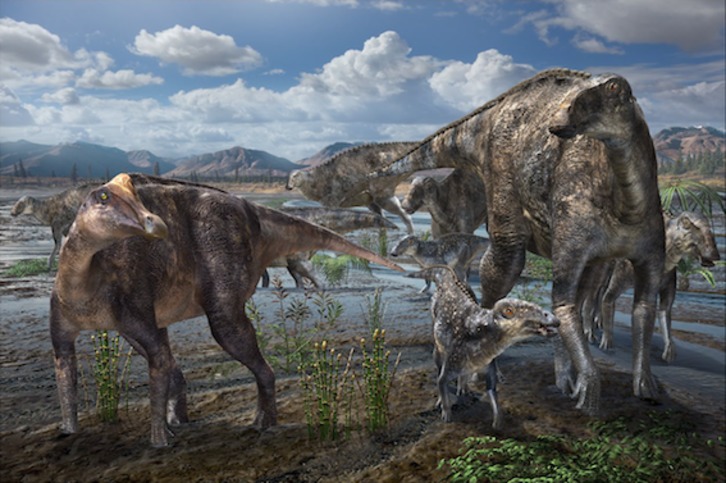Representación gráfica de hadrosáuridos, una familia de dinosaurios hervíboros que vivió durante el Cretácico tardío. (Masato HATTORI | nature.com)