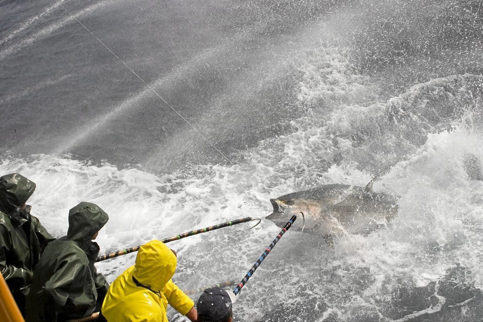 gara-2021-06-25-Reportaje