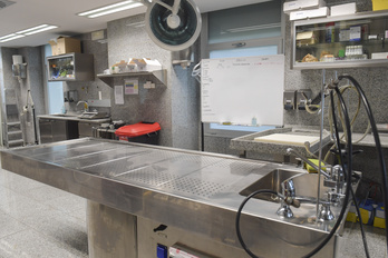 Sala donde el Instituto Navarro de Medicina Legal procede a tomar las muestras para identificar a las personas que fallecen sin que se sepa de quién se trata. (Idoia ZABALETA/FOKU) 