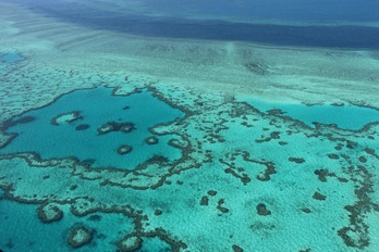 La Gran Barrera de Coral, el ecosistema de arrecifes de coral más extenso del mundo, se ve particularmente afectada por las altas temperaturas que desencadenan blanqueamientos masivos. (Sarah LAY/AFP)