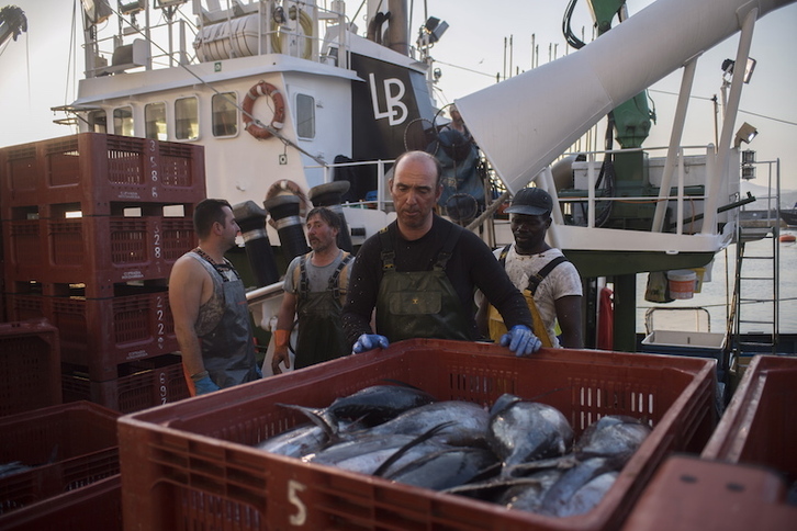 Descarga de bonito en el puerto de Hondarribia en la campaña anterior. (Juan Carlos RUIZ/FOKU)