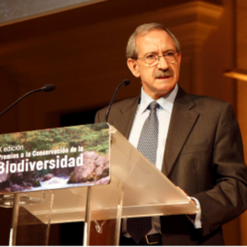 Antonio Vercher. (MINISTERIO FISCAL)