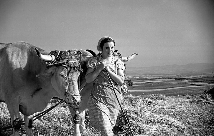 NICOLAS ARDANAZ. NAFARROAKO MUSEOA