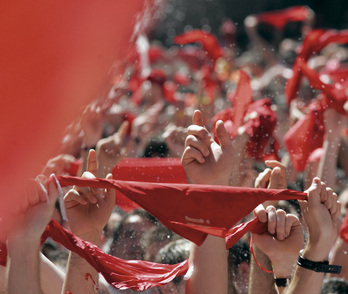 Zapi gorria © Hemendik