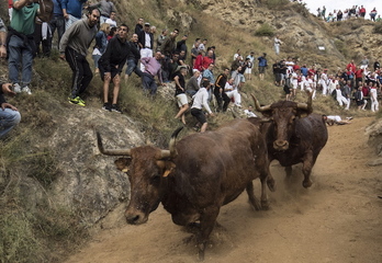 Encierro del Pilón en Faltzes, en 2019. (Jagoba MANTEROLA/FOKU)