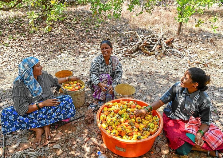 Fotografía: Indranil Mukherjee | AFP