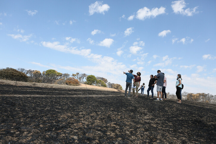 El Gobierno navarro ha visitado la zona del Vedado de Eguaras afectada por el incendio. (GOBIERNO DE NAFARROA)
