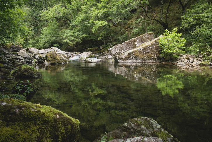  eta horrek jende gehiago hurbiltzea eragin du. © Guillaume FAUVEAU 