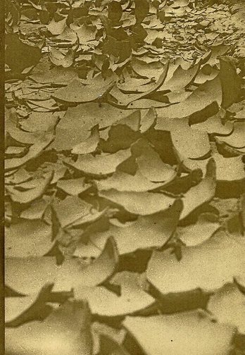 gara-2021-07-29-Opinión