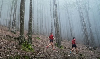 Kinto Barna establece una ruta de 80 kilómetros que podrá hacerse a pie en siete etapas. (AYUNTAMIENTO DE ESTERIBAR)