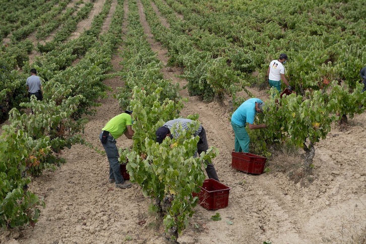 Foto de archivo de una explotación agraria en Araba. (Raul BOGAJO/FOKU)