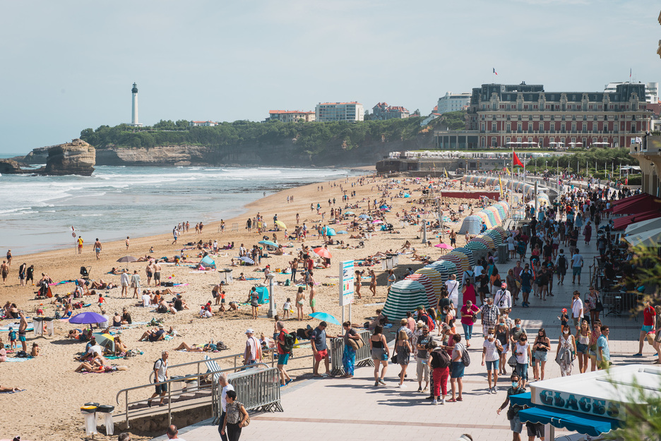  La découverte de l’algue Ostreopsis ovata a conduit à la fermeture de plages à Biarritz, Saint-Jean-de-Luz et Bidart. © Guillaume FAUVEAU