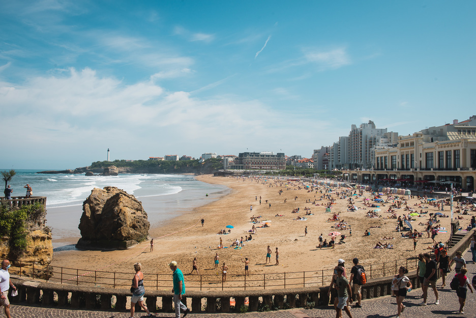  Pour examiner les effets de la plante, l’Agence Régionale de la Santé (ARS) procède à des analyses. © Guillaume FAUVEAU