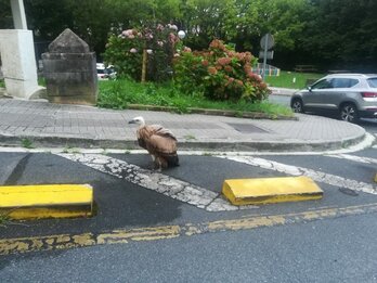 El martes en Lezo. (@ikerSU)