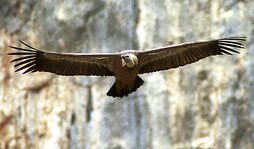 gara-2021-08-26-Noticia