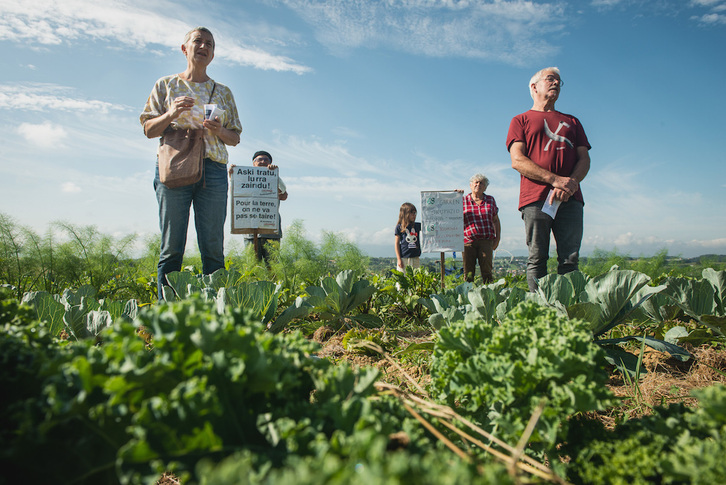Laborariek okupatutako lurretan landutako baratzeak fruituak eman dituela agerian utzi dute gaurko agerraldian. (Guillaume FAUVEAU)