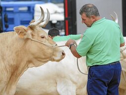 gara-2021-09-02-Reportaje