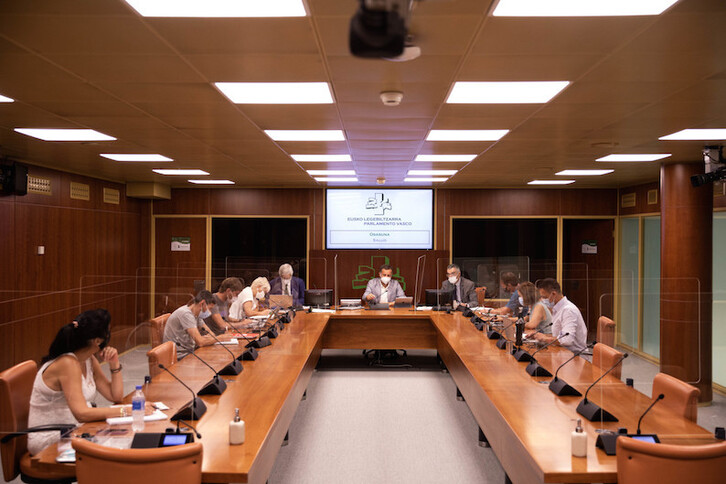 Jonan Fernández, en su comparacencia en la Comisión de Salud del Parlamento. (EUSKO LEGEBILTZARRA)
