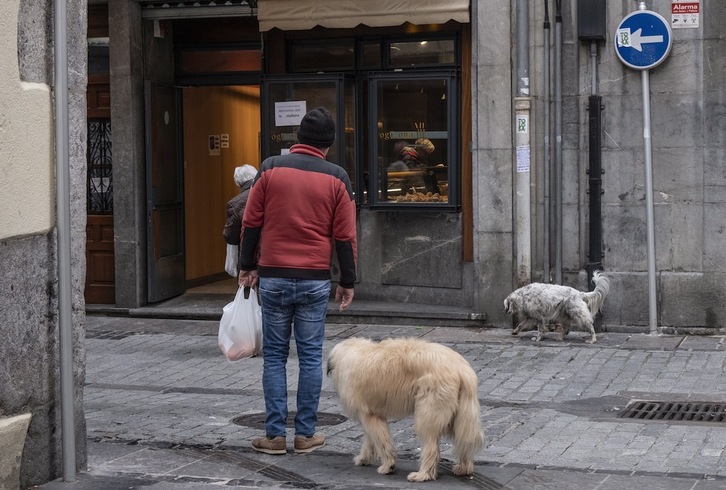 La nueva ley que avanza en el Parlamento de Gasteiz se centra en la protección de los animales de compañía. (Jon URBE/FOKU)