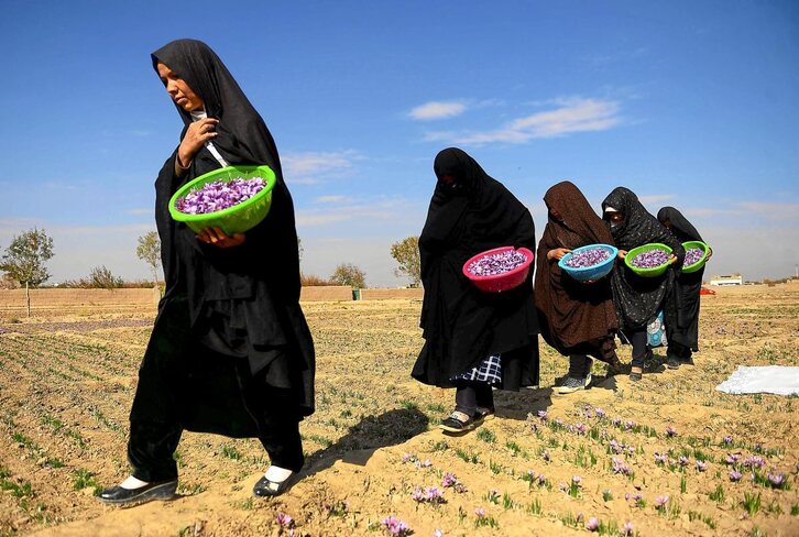 Fotografía: Hoshang Hashimi | AFP