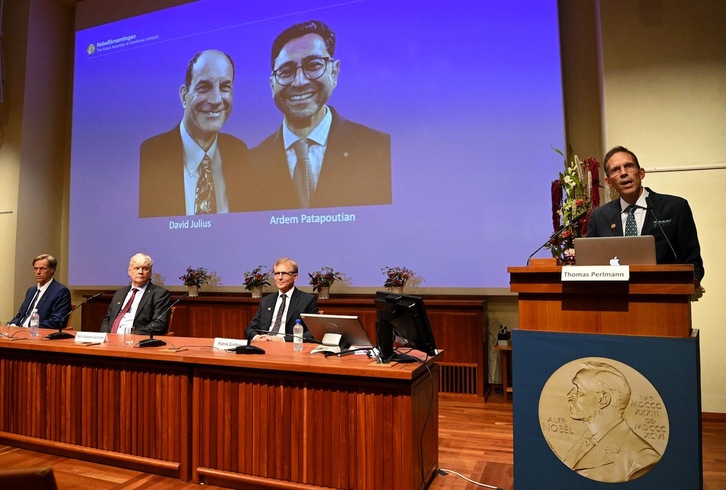 El secretario general del Comité del Nobel, Thomas Perlmann, anuncia el Premio Nobel de Medicina para Julius y Patapoutian. (Jonathan NACKSTRAND/AFP)
