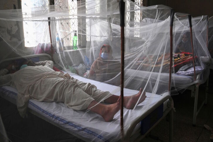 Pacientes con dengue en un hospital de Lahore, en Pakistán. (Arif ALI/AFP)