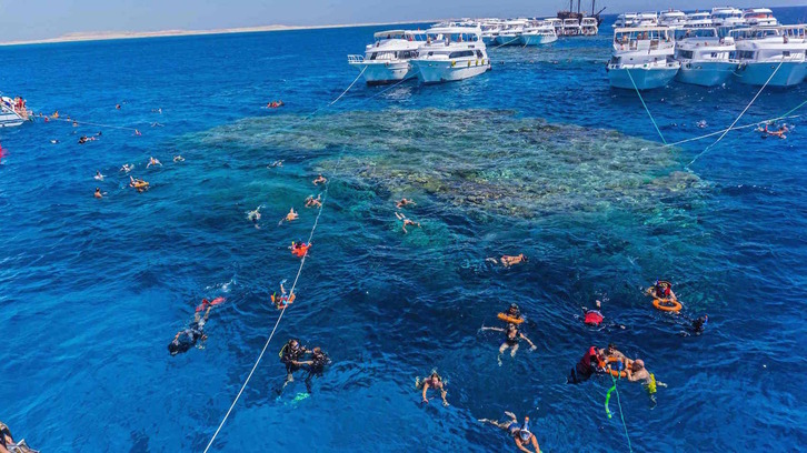 Turistas haciendo snorkel en el Mar Rojo. (Khaled DESAUKI | AFP)