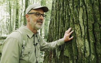 El guardabosques Peter Wohlleben, autor de 'La vida oculta de los árboles'. (Constantin Film)