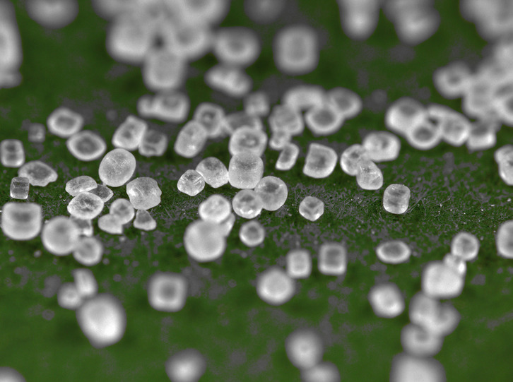 En el plazo de 3 años los alimentos deberán llevar menos sal. (NAIZ)